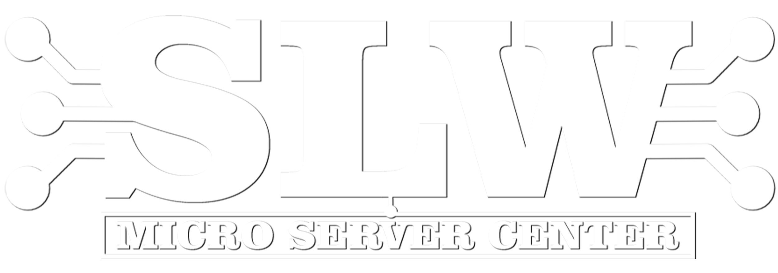 Slw Logo